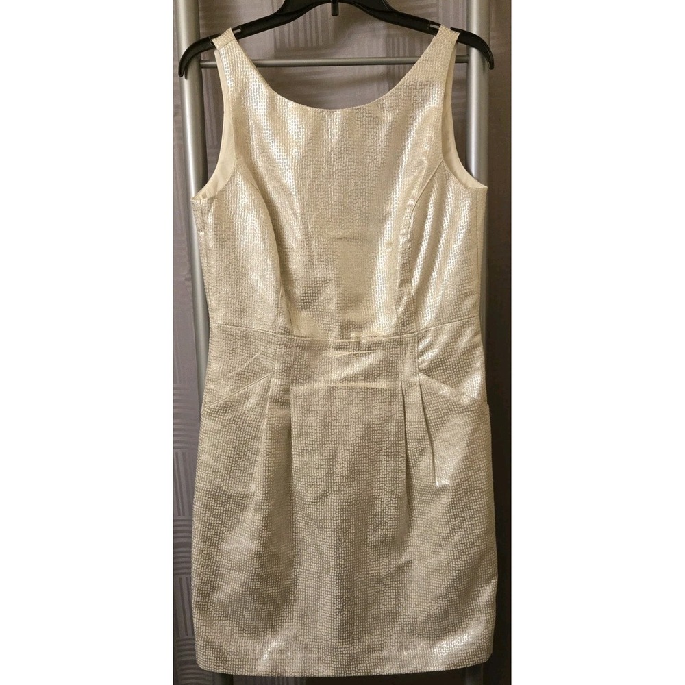 Dalia Beautiful Cream And Silver Metallic Lined Dress Long Zip & Pockets, SZ 6